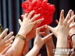 京東方能接住蘋果拋出的面板繡球嗎？