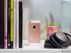 緯創代工，蘋果正式開始在印度組裝iPhone SE