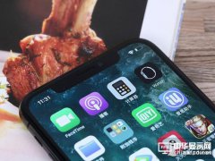 廉價(jià)iPhoneX消息曝光：蘋(píng)果看好日本LCD屏